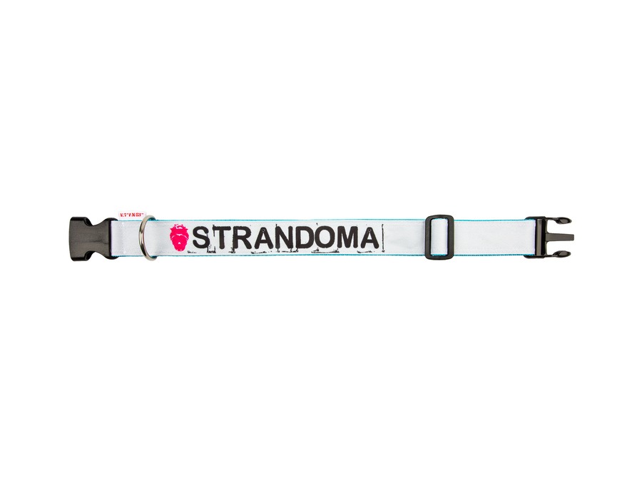 Up Country UPC-C-M Plaid Hundehalsband, Breite 1 Zoll, Größe M (30-45 Cm) – Nylon, Massives Messing, Waschbar