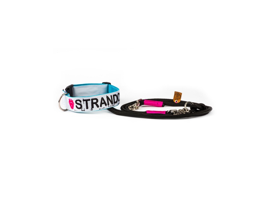 Up Country UPC-C-M Plaid Hundehalsband, Breite 1 Zoll, Größe M (30-45 Cm) – Nylon, Massives Messing, Waschbar